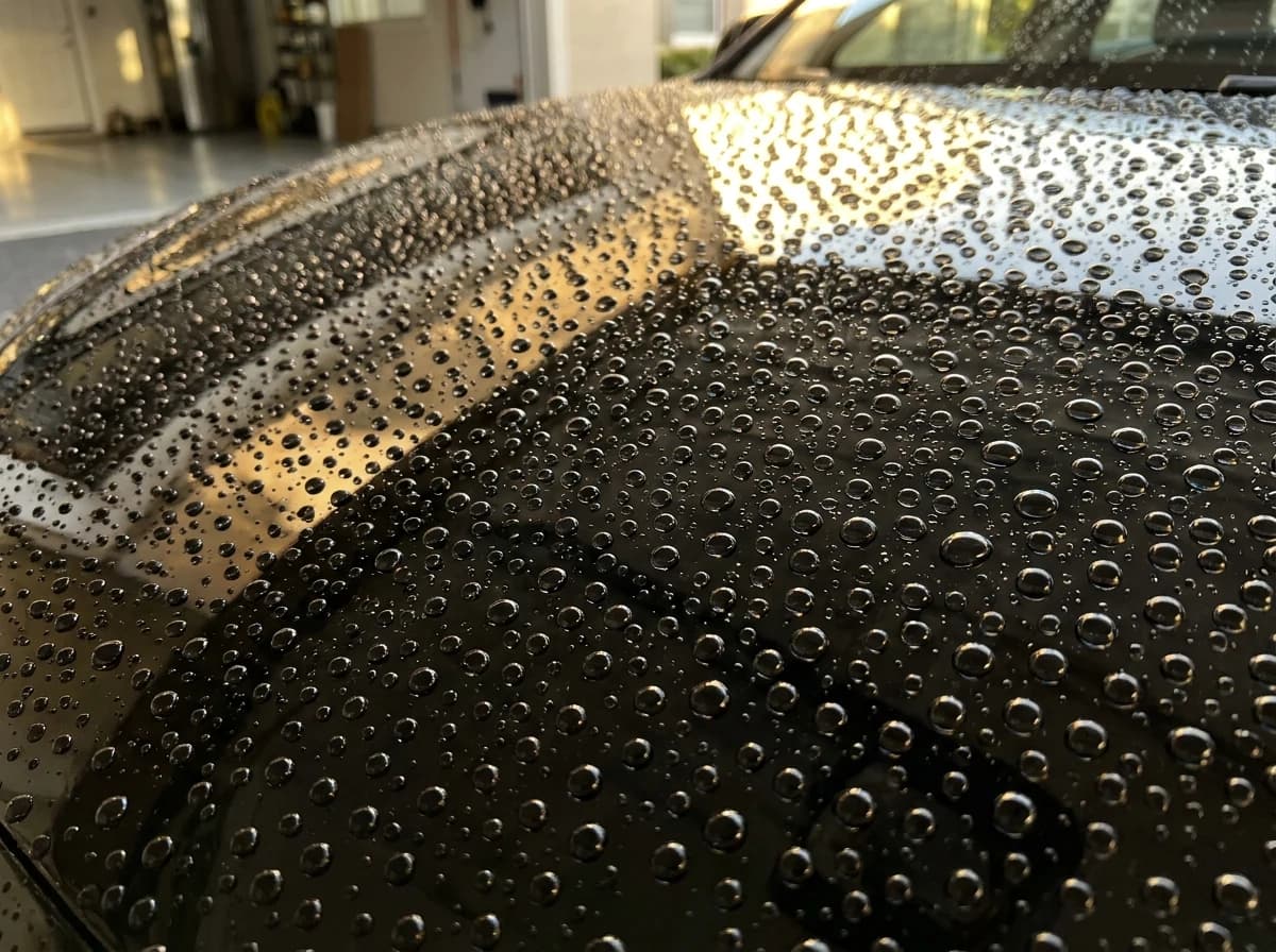 Water beading on a freshly ceramic-coated glossy hood